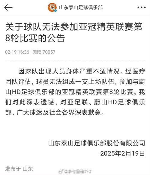 亚足联:山东泰山因亚冠退赛被禁赛两年并罚款 亚足联:山东泰山因亚冠退赛被禁赛两年并罚款